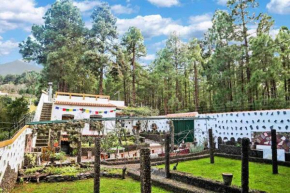 La Casa Encantada del Bosque